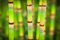 Prostěradlo froté bambus 90x200 