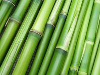 Prostěradlo froté bambus 180x200